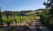 Excursión Marcha nórdica Tournon-sur-Rhône - Boyon - Photo 3