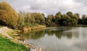 Tocht Stappen Gembloers - Promenade du bois de Grand-Leez et son étang  - Photo 20