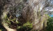 Trail Walking Nice - Ballade chemin des douaniers Nice-Villefranche  - Photo 9