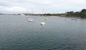 Tocht Stappen Camaret-sur-Mer - Autour de Camaret sur Mer - Photo 18