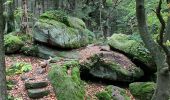 Percorso Marcia Mollkirch - Sentier des demoiselles de pierre / Molkirch - Photo 3