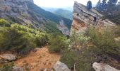 Trail Walking Die - les Balcons du Glandasse,rando Cathy - Photo 2