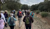 Tour Wandern Charleval - PF-Charleval - Les Costes - Bois des Taillades - Cuou de Peyrou - Photo 1