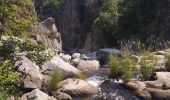 Percorso Marcia Fridefont - Les gorges de Bès  - Photo 2