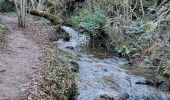 Trail Walking Enval - Enval_APAGE_Cascades_17-12-2023_T - Photo 7
