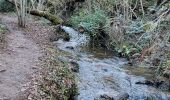 Tour Wandern Enval - Enval_APAGE_Cascades_17-12-2023_T - Photo 7