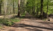 Trail Walking Anderlues - BE-Anderlues - Le Bois du Baron - Tour des Etangs - Photo 16