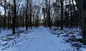 Randonnée A pied Ermelo - Leuvenumse bos (blauwe route) - Photo 2