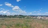 Tocht Stappen Capestang - CC_Piemont_AB_02_Capestang_Bize-Minervois_20240612 - Photo 3