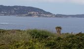 Tour Wandern Algajola - Corse La Punto de Spano - Photo 1