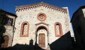 Trail On foot Gaiole in Chianti - Trekking tra i castelli 4 - Photo 4