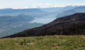 Excursión Senderismo Arvière-en-Valromey - LE GRAND COLOMBIER - Photo 7