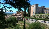 Excursión Senderismo Esparron - Esparron les Pallières  Saint Martin 12 juin 2019 - Photo 2