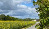 Randonnée Marche Villers-la-Ville - VLV - promenade de Rigenée (départ parking du Golf) - Photo 3