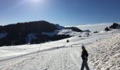 Excursión Raquetas de nieve Manigod - Tour de beauregard - raquette - Photo 2