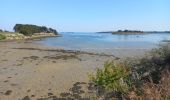 Tocht Stappen Île-aux-Moines - Tour de l'île aux Moines - Photo 5