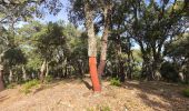 Trail Walking Pignans - Notre dame des anges - Pignans - Photo 4