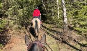 Trail Horseback riding Léglise - Légalise via Rancimont - Photo 3