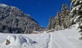 Tour Schneeschuhwandern Pralognan-la-Vanoise - Pralognan Cholière en boucle - Photo 8