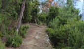 Trail Walking Riomaggiore - Sanctuaire de Riomaggere - Photo 2