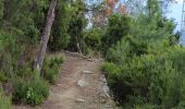 Tour Wandern Riomaggiore - Sanctuaire de Riomaggere - Photo 2