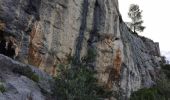 Trail Walking Le Revest-les-Eaux - Grottes de la Ripelle Mt Combe - Photo 6