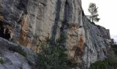 Excursión Senderismo Le Revest-les-Eaux - Grottes de la Ripelle Mt Combe - Photo 6