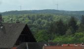 Tour Zu Fuß Fischbachtal - Rundwanderweg Fischbachtal 1 : Panoramaweg - Photo 10