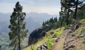 Trail Walking Tejeda - Cuevas del Caballero (Gran Canaria) - Photo 19