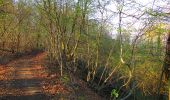 Randonnée Marche Vieux-Moulin - en forêt de Compiègne_26_la Grotte des Ramoneurs_Tournantes de la Queue de Saint-Etienne et sur la Côte de Roilaye - Photo 11