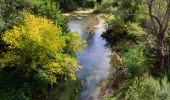 Percorso Marcia Les Arcs-sur-Argens - Trace_Les_Arcs - Photo 10