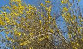 Trail Walking Chasselay - Chasselay chemin de Fromentin vers Limonest Mt Verdun - Photo 7