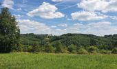 Trail Walking La Roche-en-Ardenne - rando warempage 13/07/2020 - Photo 7
