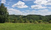 Tocht Stappen La Roche-en-Ardenne - rando warempage 13/07/2020 - Photo 7