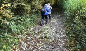 Tocht Stappen Soumagne - Départ rue sur les pres - Photo 9