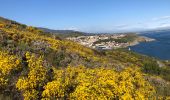 Tocht Stappen Port-Vendres - 20210505 autour de Port-Vendres - Photo 11