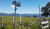 Tocht Stappen Kirchberg - 2020-06-24 DW35 Au-dessus du lac Lachtelweiher - Photo 17