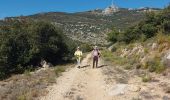 Trail Walking Saint-Saturnin-de-Lucian - fête de la randonnée 21 St saturnin de lucia - Photo 1