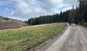 Tour Wandern Monschau - Rando Eifel des jonquilles narcisses 18,3 - Photo 8