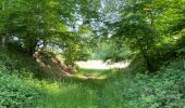 Trail Walking Fleury - en Forêt de Retz_92_05_2022_Rond d'Orléans_Chapeau des Cordeliers_la Laie des étangs de Longpont - Photo 11