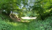 Excursión Senderismo Fleury - en Forêt de Retz_92_05_2022_Rond d'Orléans_Chapeau des Cordeliers_la Laie des étangs de Longpont - Photo 11