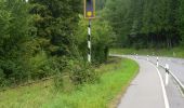 Randonnée A pied Sulzbach-Laufen - Sulzbach-Laufen Rundweg 5 - Photo 3