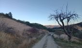 Percorso Marcia Sisteron - sur les hauteurs de sisteron - Photo 9