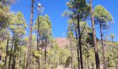 Randonnée Marche Vilaflor - Lunar Landscape Hike in Villaflor (Tenerife) - Photo 14