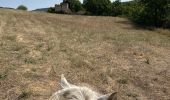 Trail Horseback riding Céreste - Provence 2025 J3 - Photo 18