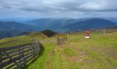 Tour Wandern Brixen - Plosehütte et Rossalm - Photo 18