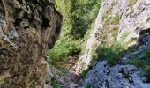 Trail Walking Faverges-Seythenex - tour de Sambuy - Photo 6