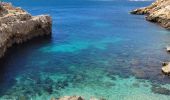 Trail Walking Saint-Cyr-sur-Mer - Le port d' Allon +370  - Photo 1