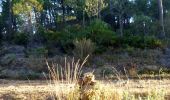 Tour Wandern Boutenac - BOUTENAC - Circuit des combes par la chapelle St Siméon - Photo 15