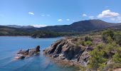 Trail Walking Port-Vendres - les Paulilles - Cap Bear via le sentier du littoral  / retour via collines et vignes  - Photo 20